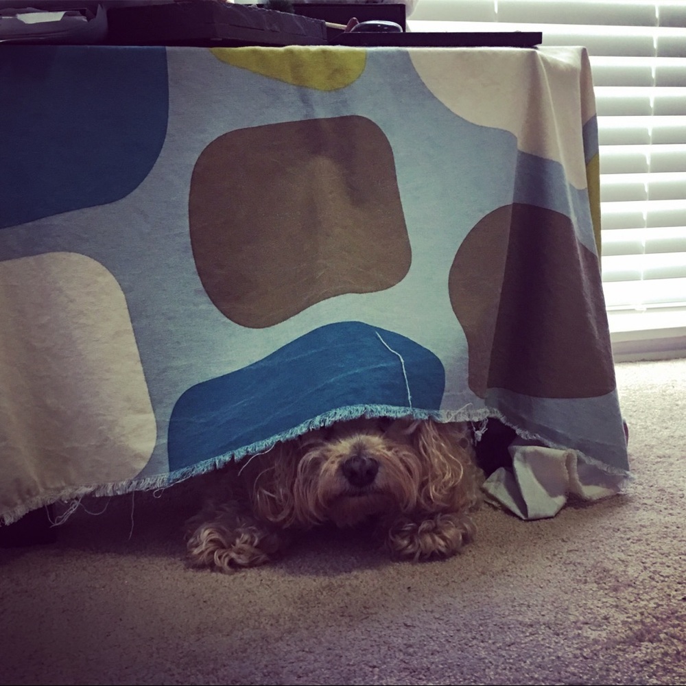 Meet your Posher, Yvonnie